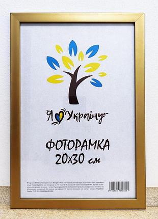 Фоторамка 20х30 см., золотая, багет 1611-2854 стекло + картон