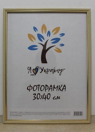 Фоторамка 30х40 см бежевая с золотой вставкой, багет 1515-7104
