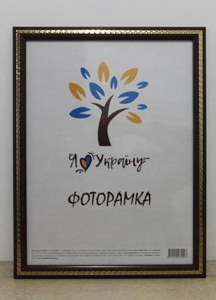 Фоторамка 40х50 см., вишневая с золотой змейкой, багет 2416-152-9