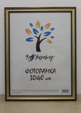 Фоторамка 30х40 см., золото-коричневая с золотым обрамлением, багет 333-х811-10