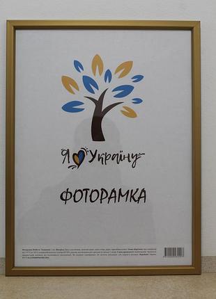 Фоторамка а3 30х42 см., золота із золотою вставкою, багет 1511-0491-11