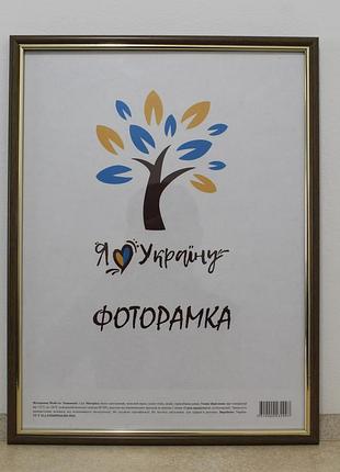 Фоторамки а3 30х42 см., світлий горіх із золотою вставкою, багет 1515-х052 оргскло + двп