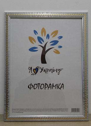 Фоторамка 30х45 см., серебряный с золотой змейкой, багет 2416-120g