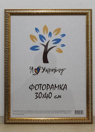Фоторамка а3 30х40 см золота зі срібною змійкою багет 2416-261s скло + картон