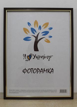 Фоторамка а3 30х42 см., коричневая с золотой вставкой, багет 1515-в84 стекло + двп
