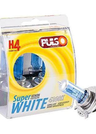 Лампы pulso/галогенные h4/p43t 12v60/55w super white/plastic box (lp-42651)