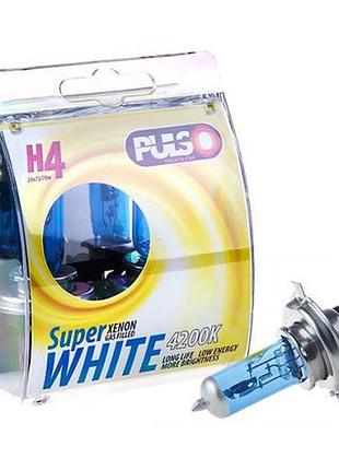 Лампы pulso/галогенные h4/p43t 24v75/70w super white/plastic box (lp-42471)