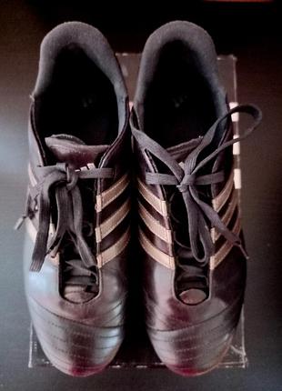 Кросiвки adidas