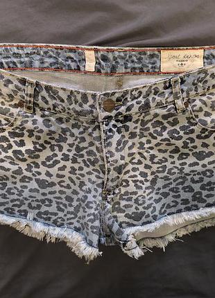 Джинсовые шорты pull &amp; bear леопард m/l 3