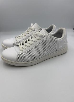 Кеди чоловічі lacoste шкіра