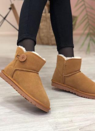 Угги женские коричневые с пуговицей ugg mini bailey batton brown winter5 фото