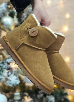 Угги женские коричневые с пуговицей ugg mini bailey batton brown winter9 фото