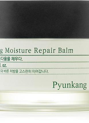 Бальзам для обличчя pyunkang yul calming moisture repair 30 мл
