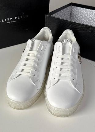 Кеди philipp plein 2