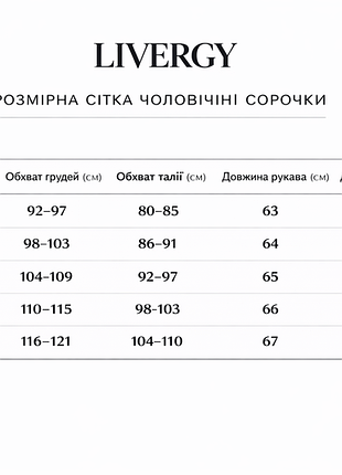 Легкая мужская рубашка из льна премиум класса р.l 10