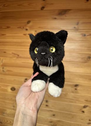 Кошеня aurora