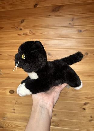 Кошеня aurora 4
