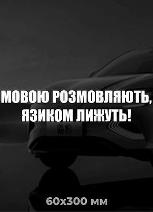 Вінілова наліпка на авто мовою розмовляють 6х30 см