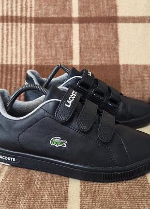 Кроссовки lacoste