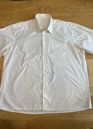 Белая рубашка pierre pasolini | 3xl | классика