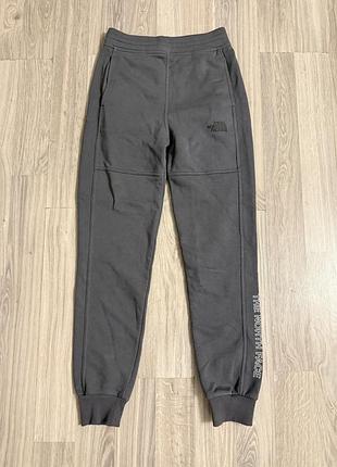 Спортивні штани the north face чоловічі