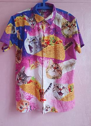 Котики бурритос рубашка, яркая 4