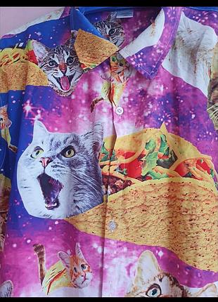 Котики бурритос рубашка, яркая 5