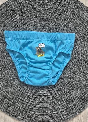 Трусики primark на мальчика
