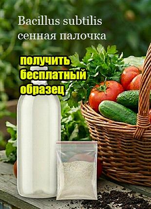 Бесплатный образец и консультация: сенная палочка для защиты растений