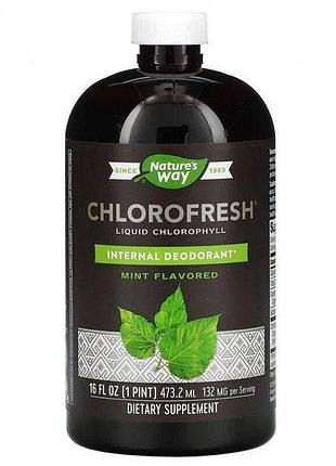 Жидкий хлорофилл nature's way chlorofresh с ароматом мяты 473,2 мл (6008341)