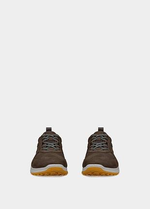 Ecco biom energi 4