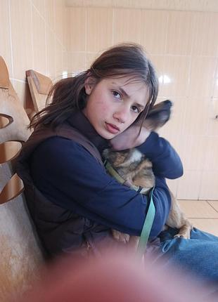 Продаю цуценя 5