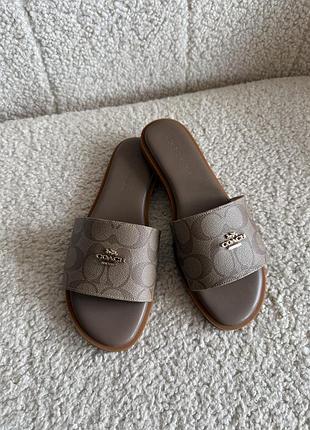 Тапочки шльопанці coach