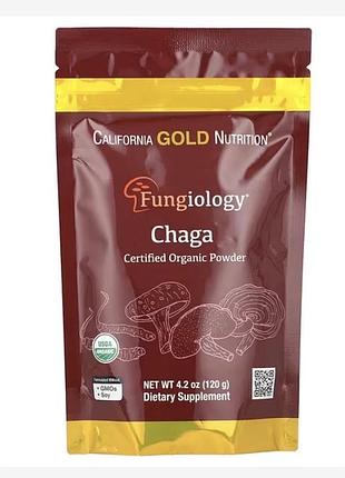 Fungiology®, порошок із сертифікованого органічного гриба чаги, 120 г (4,2 унції)