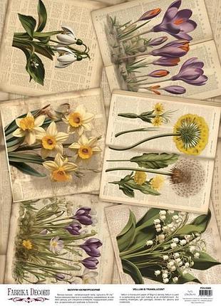 Деко веллум (лист кальки с рисунком) spring botanical story весеннее цветение, а3 (29,7см х 42см)