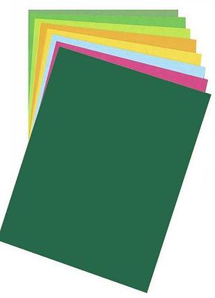 Папір для дизайну fotokarton b2 (50*70см) №58 хвойно-зелений, 300г/м2, folia