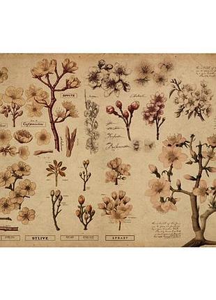 Лист крафт бумаги с рисунком botany spring , #8, 42x29,7 см