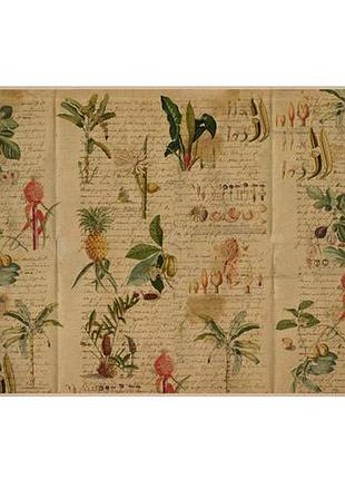Лист крафт бумаги с рисунком botanical backgrounds #08, 42x29,7 см