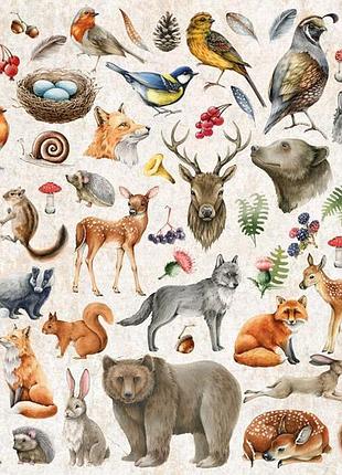 Лист с картинками для вырезания forest life 30,5х30,5 см