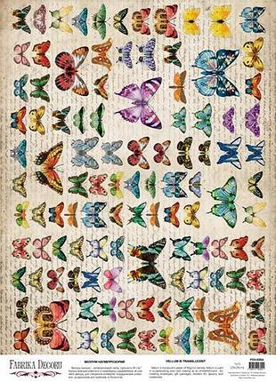 Деко веллум (лист кальки с рисунком) spring botanical story бабочки, а3 (29,7см х 42см)