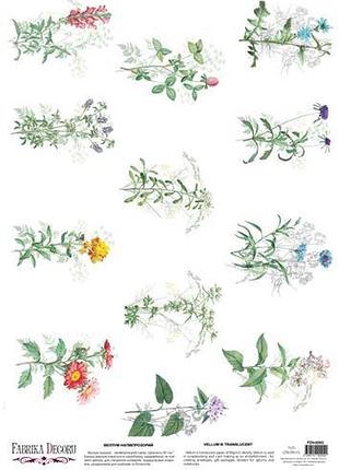 Деко веллум (лист кальки с рисунком) wildflowers 1, а3 (29,7см х 42см)