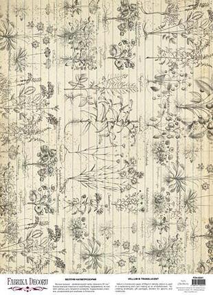 Деко велум (лист кальки з малюнком) vintage botanicalult, а3 (29,7 см х 42см)