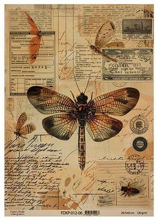 Лист крафт бумаги с рисунком naturalist notes , #6, 42x29,7 см