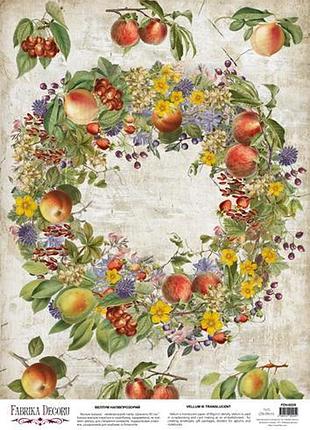 Деко веллум (лист кальки с рисунком) botany summer фруктовый веночек, а3 (29,7см х 42см)