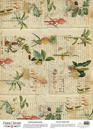 Деко веллум (лист кальки с рисунком) botany summer tropics, а3 (29,7см х 42см)