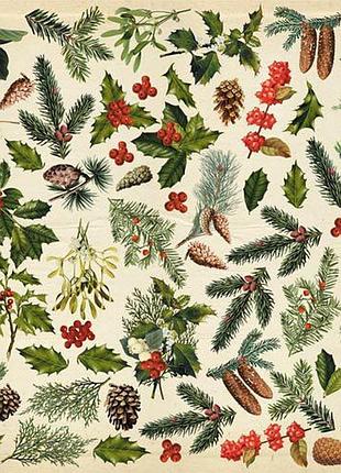 Аркуш із картинками для вирізування winter botanical diary 30,5х30,5 см