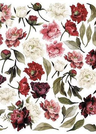 Лист с картинками для вырезания peony passion 30,5х30,5 см
