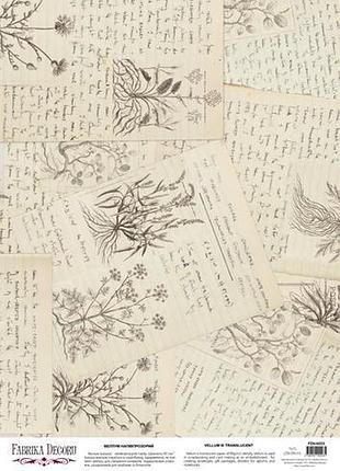 Деко веллум (лист кальки с рисунком) botany summer дневник натуралиста, а3 (29,7см х 42см)