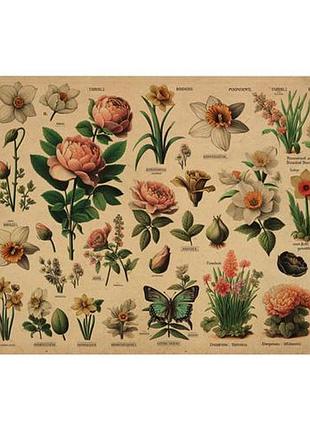 Лист крафт бумаги с рисунком botany spring , #1, 42x29,7 см