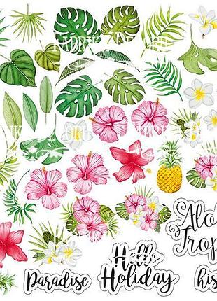 Лист с картинками для вырезания wild tropics 20х20 см